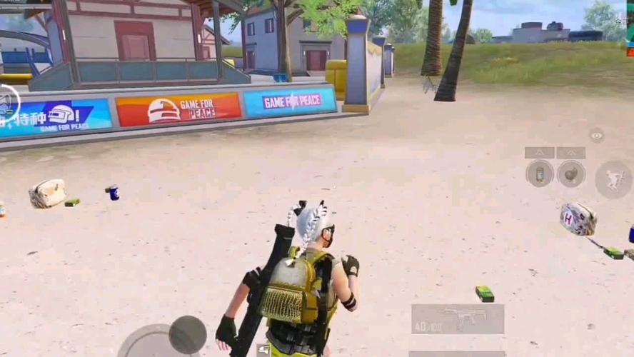 和平精英辅助【保时捷】）